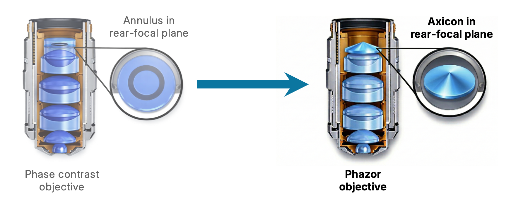 Diagram comparing a phase contrast objective with an annulus in the rear focal plane to a Phazor objective with an axicon in the same position — illustrating the drop-in upgrade path
